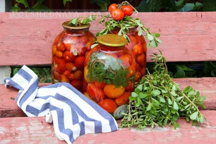 �������� � ���������� ������ �� ������������ � ���� �������� � ��������� � ������� �������