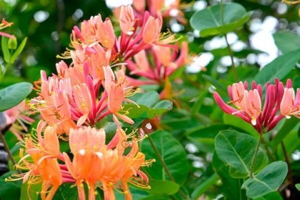 �������� �����: ������������ ��������� � ���������� ����������