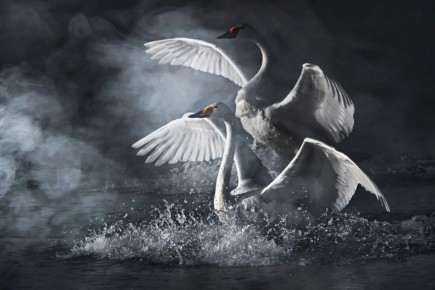 ����� ����������. ���������� �������� ������� ������� �� �����