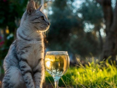 ����������� ������ � �������� ������ �� ��������� ��� ������ � �������� ������� � ��� ��������