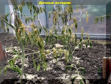 ������� �������������� ���������� ������� � ��������� ����� ����������