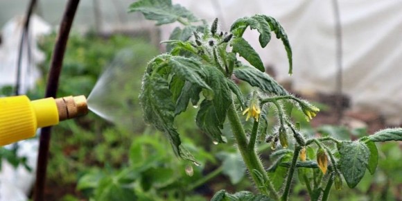 ������ ��� �������� ����������: ��� �������� ������ � ��������� �������������