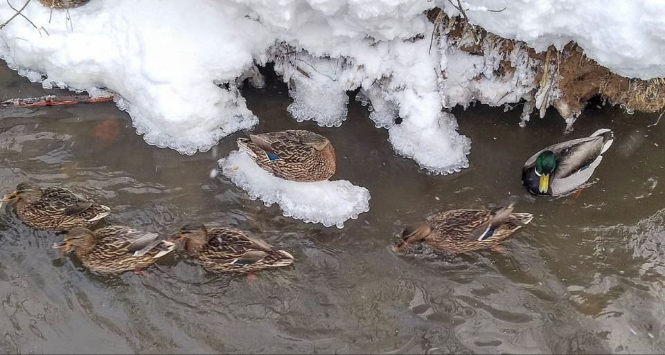 ���� �� �����. �������������� � ������� �� �����!