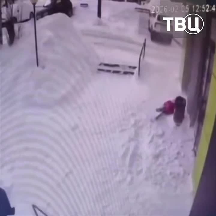 ����� ���� ����� �� 11-������ ������� � ����� ������������� ���� � ��������� �������