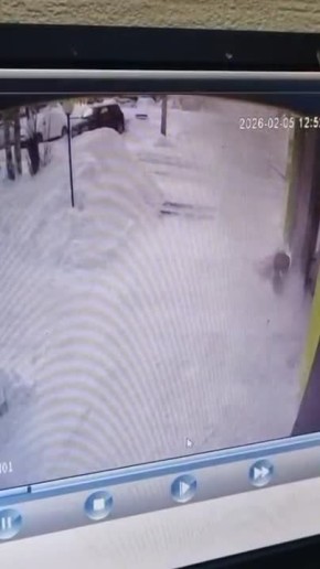 ����� ������� ������� ����� �� ������� ��������� �����������