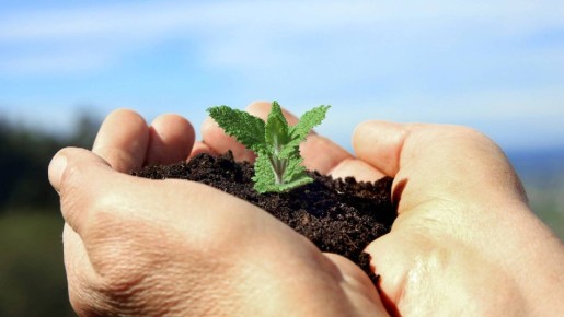 �����, ���� � ��� ��� ����: ����� �� ������� ������� ������� ��� ���������