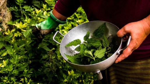 ������� ������ �� ������ ������ � �������: ����� �� ��� ������ ��� �����