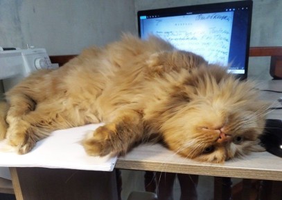 � ��������� ������� ��������� ���� � �������� ���������������� �� ������ �����