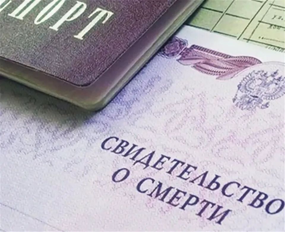 ����������� ������: ����� ������� ��� ���������� �� �������� � ���������� ���������� � 2026 ����