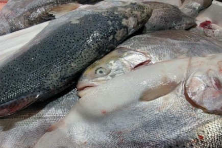 ��� ������ ����� ���� ����� �������: 10 ��������� ������ ��� �������� �� �����