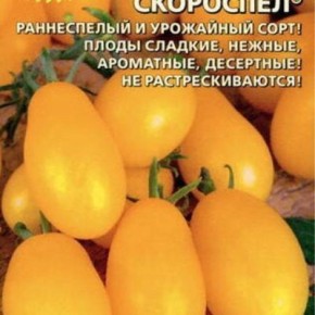 ����� ��������� ���������: ��� ��������� ������� ������ ���� � �������� ��������� ����