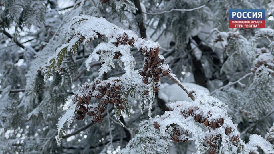 �� �������, 10 �������, � ��������� ������� ������������ �������� � ������������ ������ ��� ������������ �������