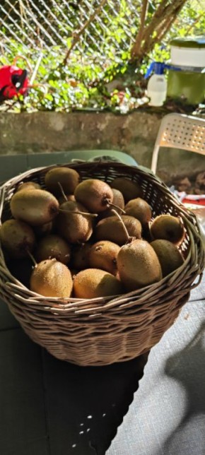 ����: �� �������� �� ��������� ������ � ��� ����� ������� �����