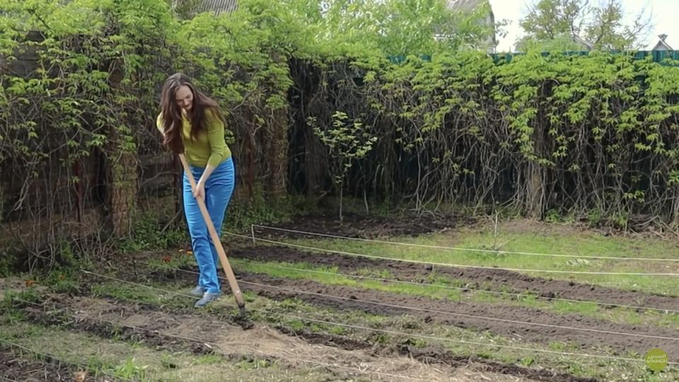 ������ ����� ������ � ������ ����� ��� ������ ����?