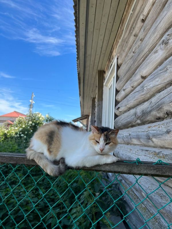 ��� ����������� �������� �������� ����� �� �������