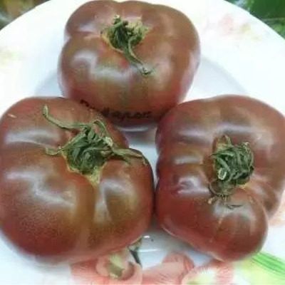 ����� �������� �����: ����������� ������ � ����������� ������� ������