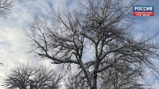 � ����� � ��������� ������� �������� ��������� ����