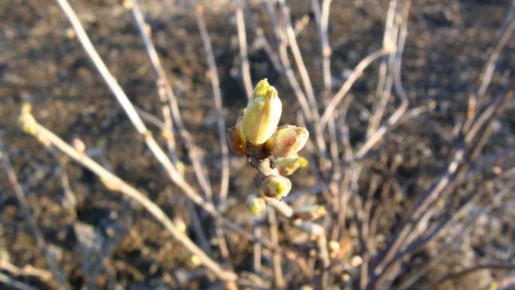 �������� ������� ���������: ��� ��������� ����� � ��� ����