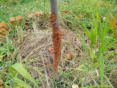 ��� ���������� � ��������� �� ���� ������: ������ ��� ���������