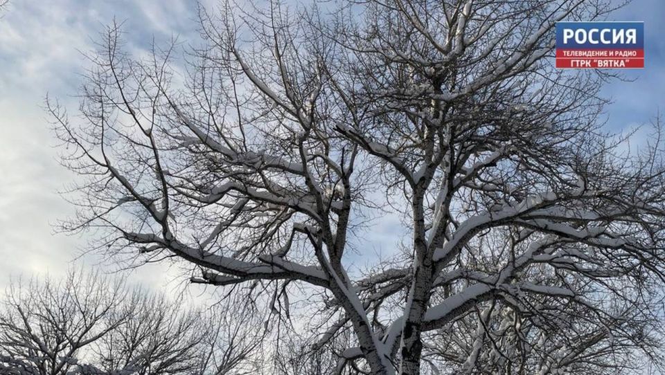 � �������, 13 �������, � ��������� ������� ������� �������� ������ � ������ ���� �� ���������� �����