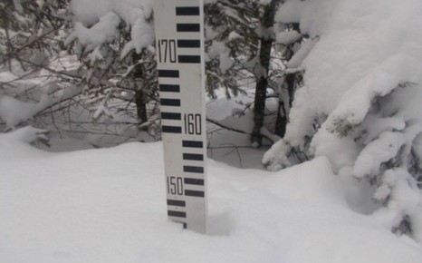 �� ����� ������ ������ ������� ������ �������� ������� �� ������������� ��������� ������� ��������� ���� ����� �� 12-49 ��. �� ���� �������� � ����