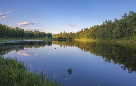 � ����������� �������� �������� ������������� �����������