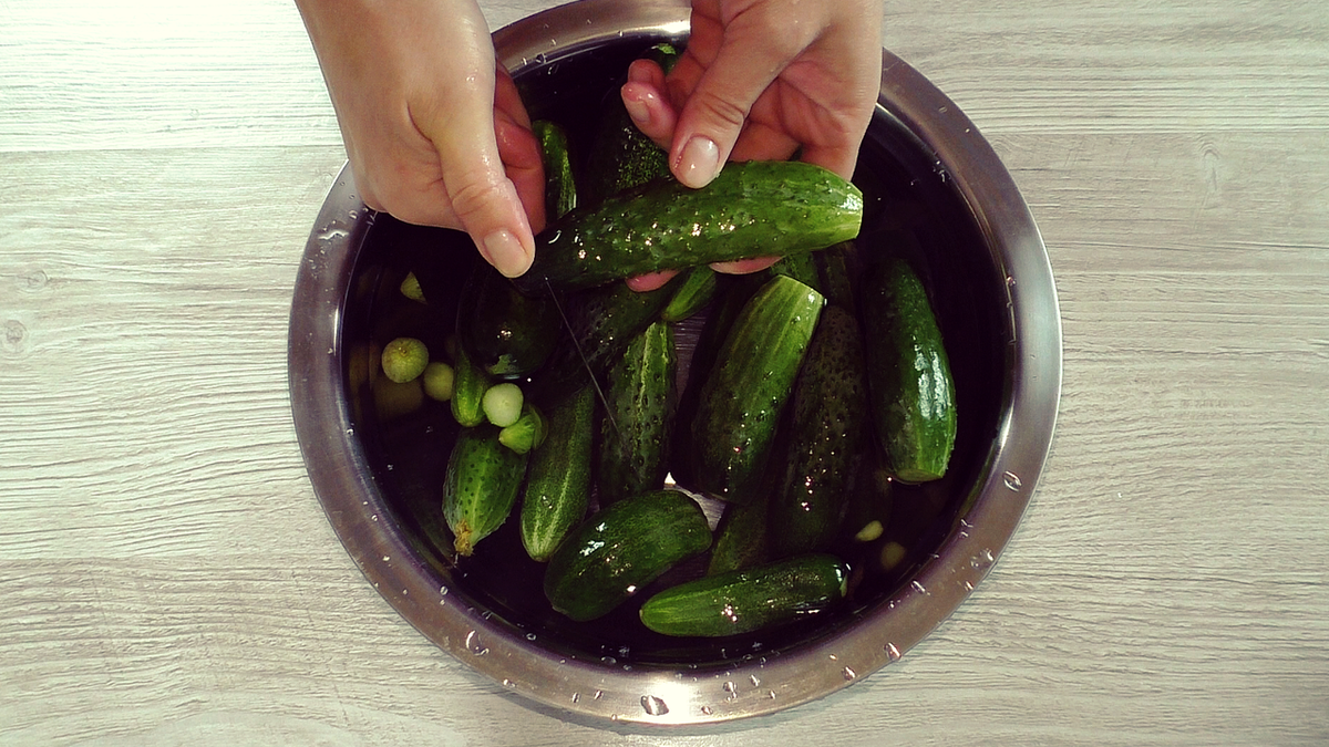 Как мариновать огурцы: простой рецепт без стерилизации