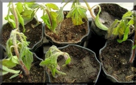 ����������� ������� ��� �������� �������