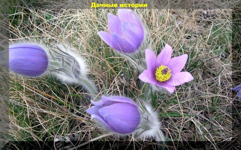 ��������: ��� ��������� ���������� ������ ��� ���������� ����