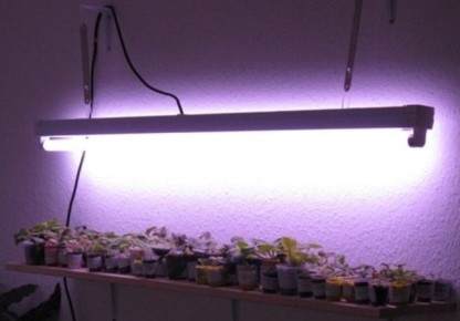 ���� �� ���������� ���������� � ������ ������