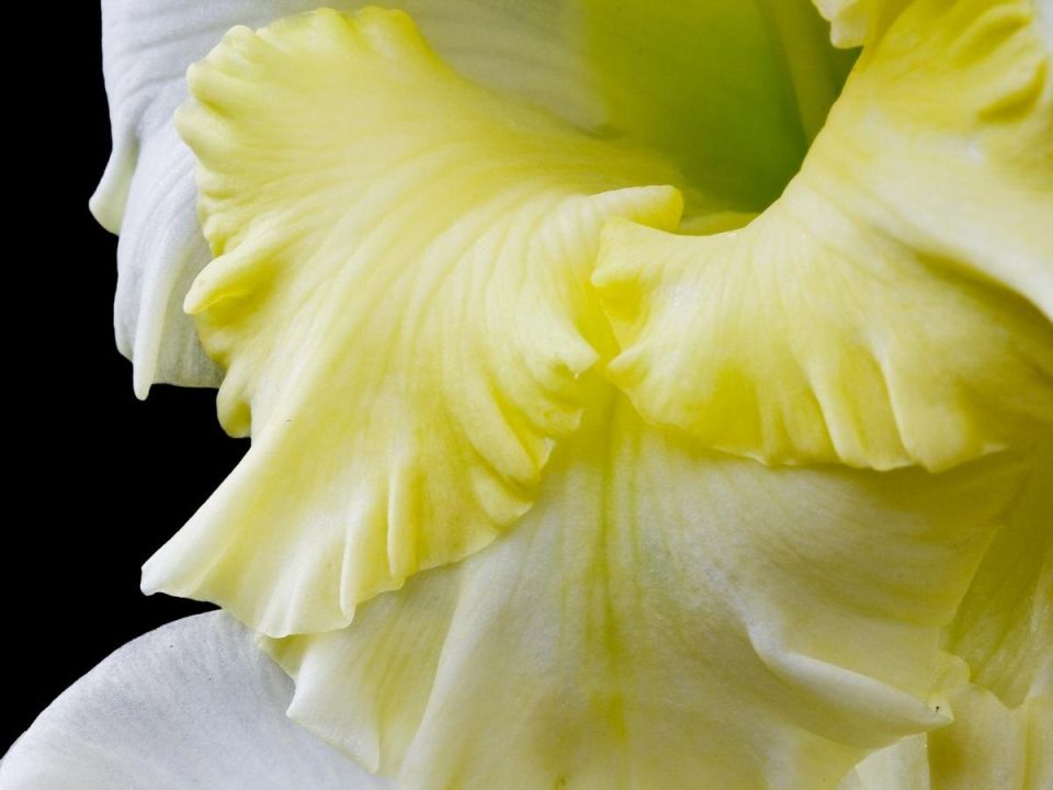 ����� ��������� �������� �����������: ������ �� ���������