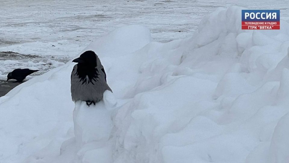 � �����������, 16 �������, � ��������� ������� ������� �������� ������, ���� ��� ������������ �������, ����� � ����