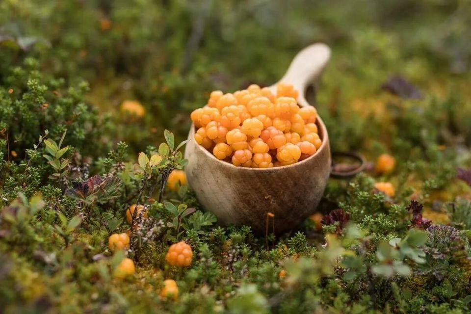 �������: ��������� �������� �����, ������� ����������� ������ ��������