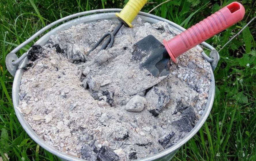 Почему древесная зола может стать вашим лучшим помощником в огороде