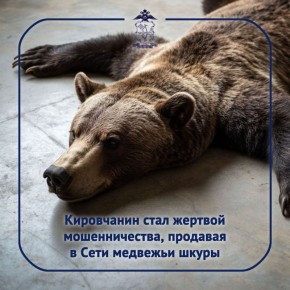 Как выяснили полицейские, накануне 18-летний потерпевший опубликовал в Сети объявление о продаже медвежьих шкур