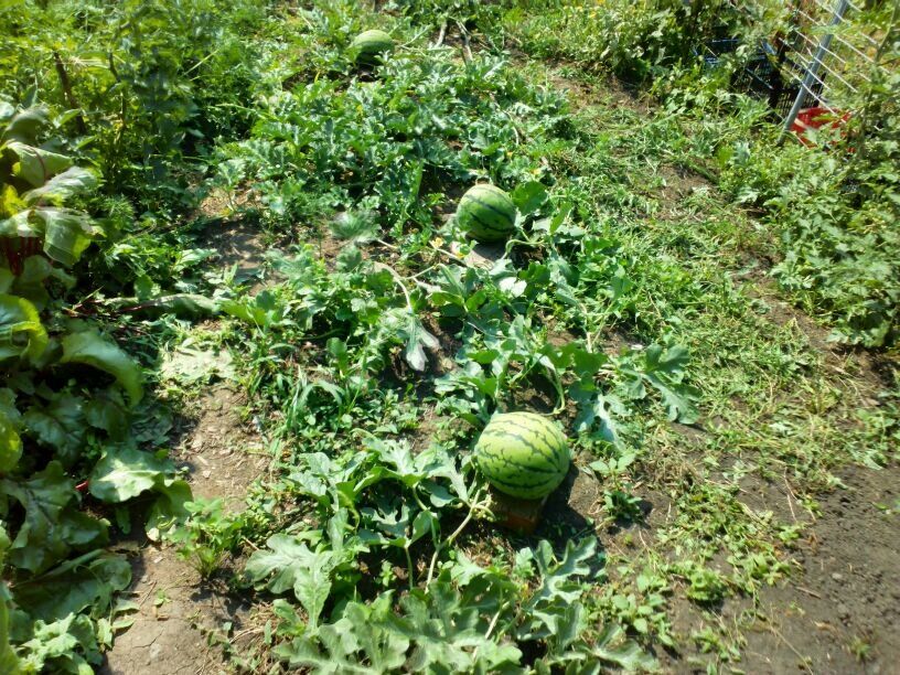 ��� � ������� ��������� ��������� ������ � ���� ������ ��� ���