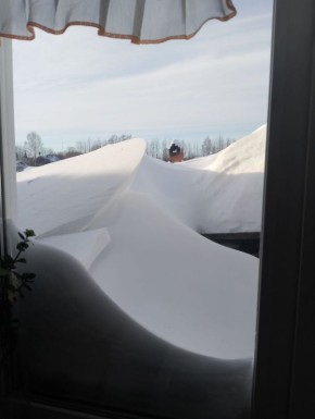 ������� � �������� ���� ����� ����