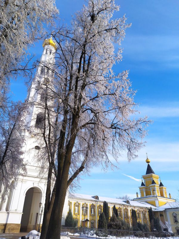 Монастырская кухня: вкусные постные блюда из чечевицы и картошки