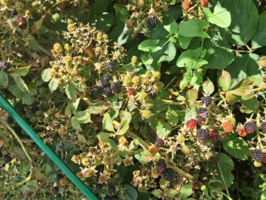 ������� �� ����: ��� ��������� ���� ������� ���������