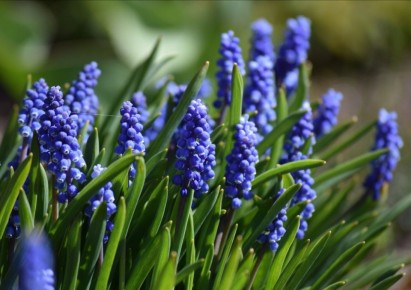 ������� �������: ��� ���������� ��� ��� � �������� �����