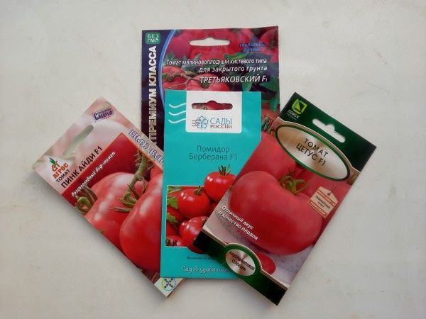 Выбор гибридов томатов на 2026 год: от проверенных до новинок