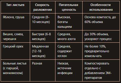 Как опавшие листья превращаются в ценное сокровище для вашего сада
