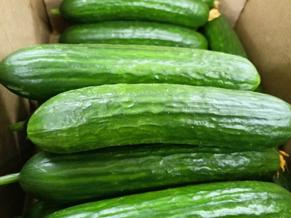 ������� � �������� � �� ������� (�� ����� ���������� ������� ������� ���������� ���������� ���, ��������� ������� � ������ ������):