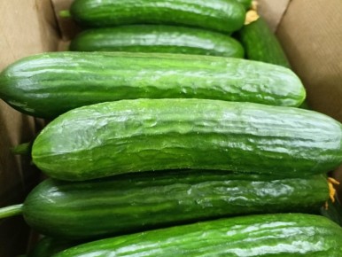 Бикалюк и Береснев — об огурцах (во время обсуждения проекта закона о пониженных ставках по УСН, принятого сегодня в первом чтении):