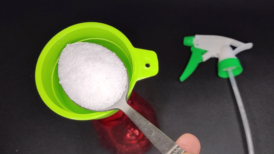 ������� ������ ������: ��� � ���������� �� ����� � ������� ����� �� 10 �����