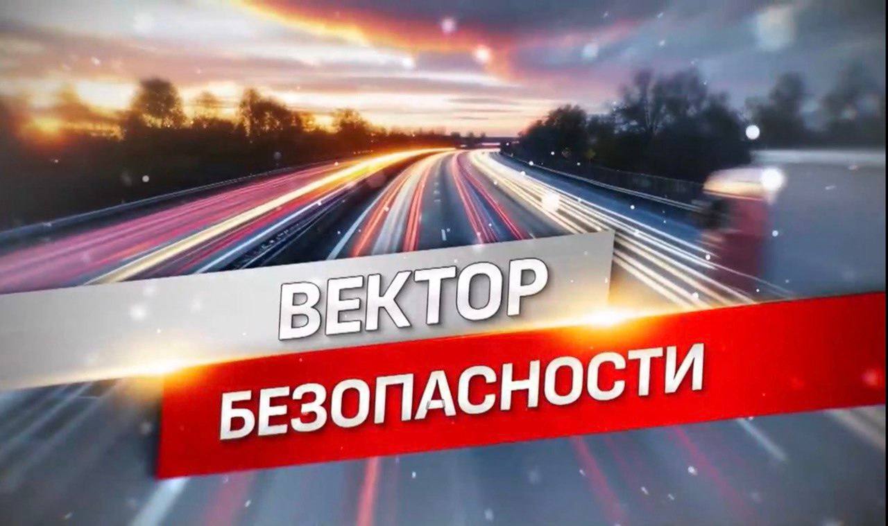 Роль общественности в вопросах обеспечения безопасности дорожного движения в Кировской области – тема передачи «Вектор безопасности» Роль общественности в вопросах обеспечения безопасности дорожного движения в Кировской области – тема передачи «Вектор безопасности»