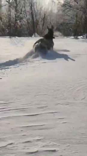 ���� � ������.. � ����� �. ����� � ������� ����� ��������� �������� ����