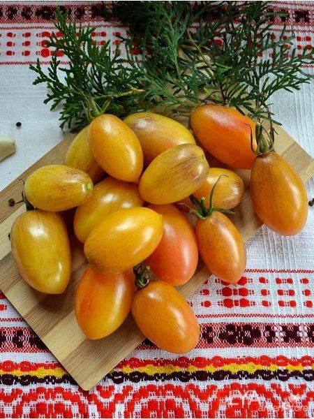 ����� ��������-�������� ��������: ���������� ������� ��� ����� �������