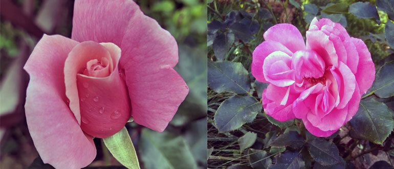 ����� � ��� ��������� �������� ���� �� ����