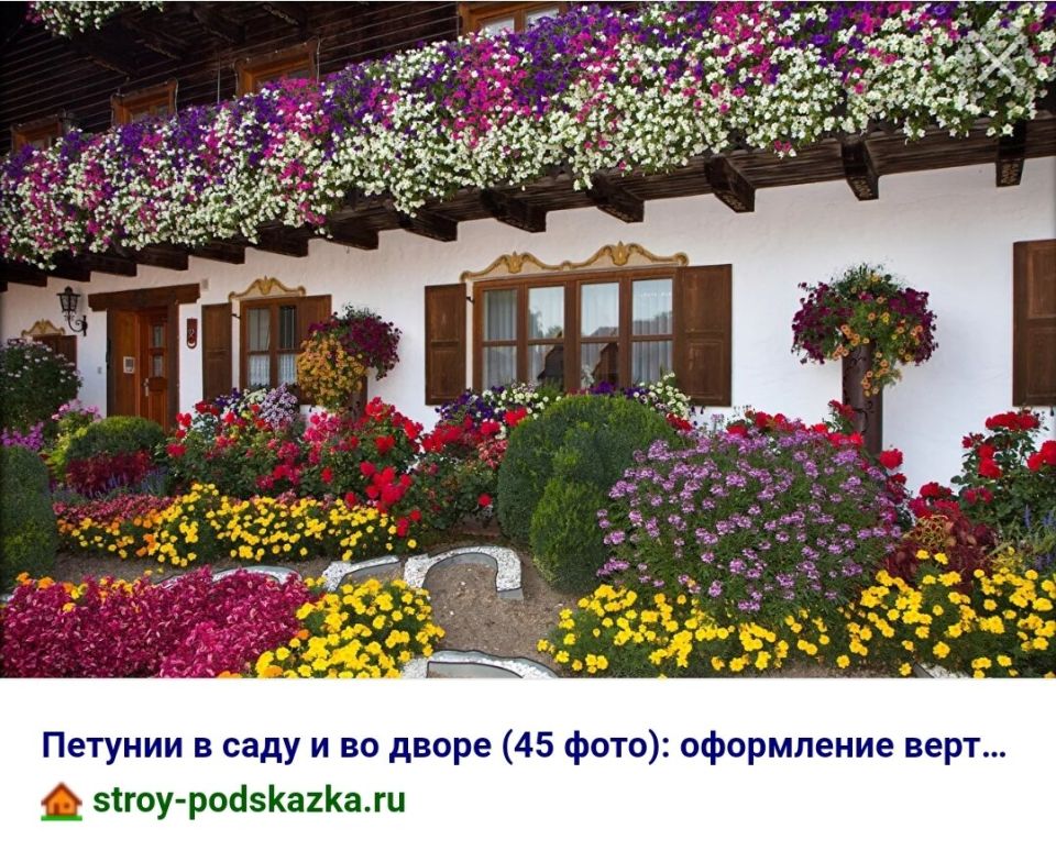 ��� ������� ��������� ���: ���������� ���� ��� ������ ������������